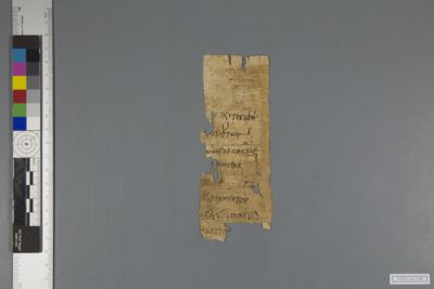 Papyrus Fragment P NYU Inv 0748 New York University Collection Of