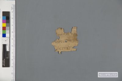 Papyrus Fragment P NYU Inv 0722 05 New York University Collection Of