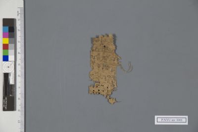 Papyrus Fragment P Nyu Inv New York University Collection Of