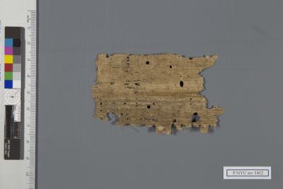 Papyrus Fragment: P.NYU inv 1412: New York University Collection of ...