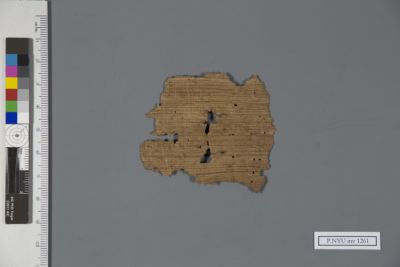 Papyrus Fragment: P.NYU inv 1261: New York University Collection of ...