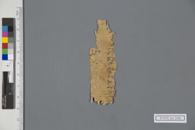 Papyrus Fragment: P.nyu Inv 1026: New York University Collection Of 