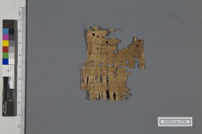 Papyrus Fragment: P.NYU inv 0739: New York University Collection of ...