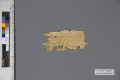 Papyrus Fragment: P.NYU inv 0537.21: New York University Collection of ...