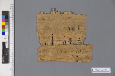 Papyrus Fragment: P.NYU Inv 0785.01: New York University Collection Of ...