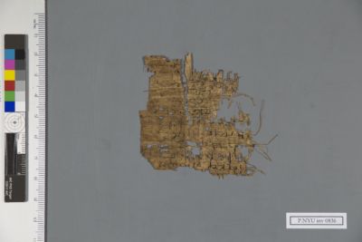 Papyrus Fragment: P.NYU inv 0836: New York University Collection of ...