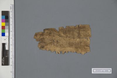 Papyrus Fragment: P.NYU inv 1000: New York University Collection of ...