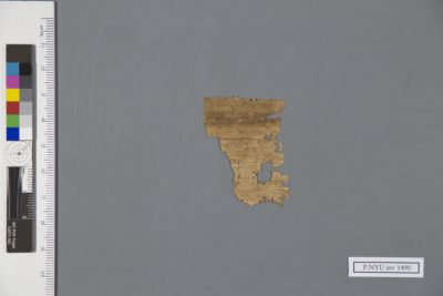 Papyrus Fragment: P.NYU inv 1490: New York University Collection of ...