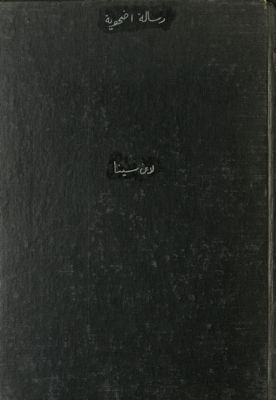 رسالة أضحوية في أمر المعاد — غلاف