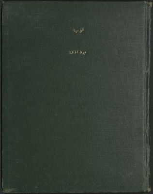 كتاب عيون الحكمة — غلاف