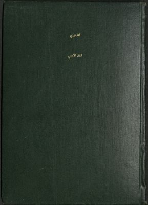 محاضرات في النقد الادبي — غلاف