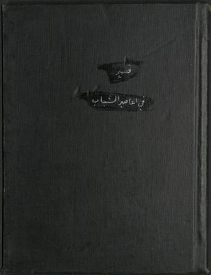 في أعاصير الشباب — غلاف