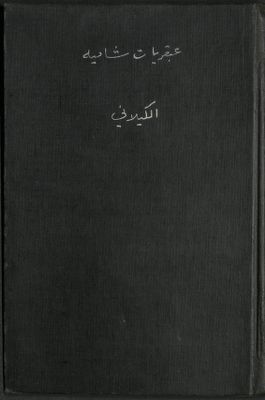 عبقريات شامية في الحكم والسياسة والإدراة : — غلاف