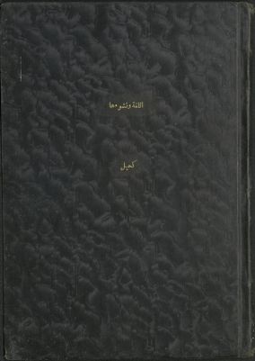 اللغة ونشوءها — غلاف
