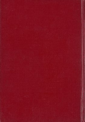 الخنفسة الذهبية — غلاف
