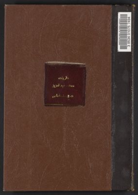 ذكريات سعد، عبد العزيز، ماهر ورفاقه في ثورة سنة 1919, تصرفات حكومية /‪ — غلاف