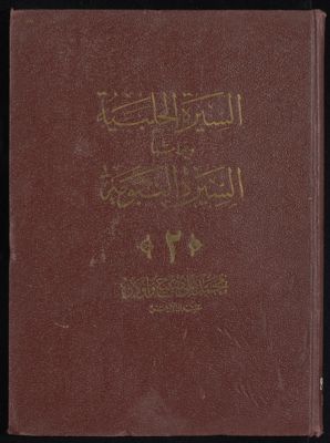 انسان العيون في سيرة الامين المامون : v.3 — غلاف