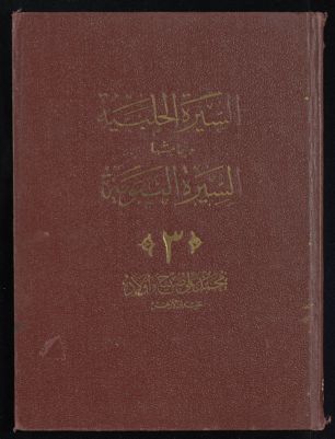 انسان العيون في سيرة الامين المامون : v.2 — غلاف