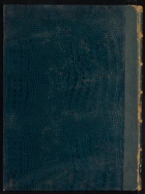 صحيح ابي عبد الله البخاري بشرح الكرماني. v.15 — غلاف