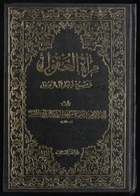 مرآة العقول في شرح اخبار آل الرسول : v.13 — غلاف