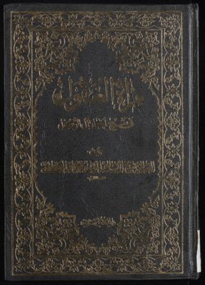 مرآة العقول في شرح اخبار آل الرسول : v.14 — غلاف