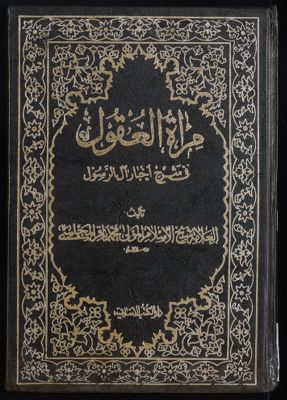 مرآة العقول في شرح اخبار آل الرسول : v.15 — غلاف