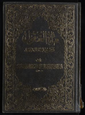 مرآة العقول في شرح اخبار آل الرسول : v.19 — غلاف