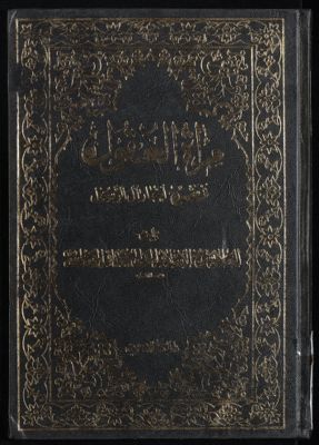 مرآة العقول في شرح اخبار آل الرسول : v.21 — غلاف