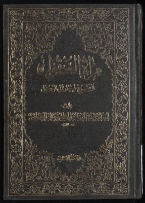 مرآة العقول في شرح اخبار آل الرسول : v.24 — غلاف