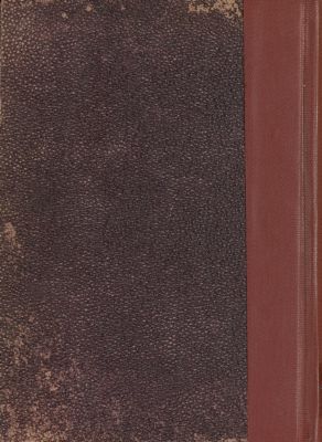 كتاب الشذرات السنية في تاريخ ادب اللغة العربية — غلاف