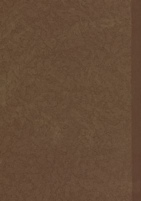 الحنين الى الأوطان — غلاف