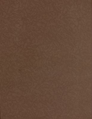 فهرست المخطوطات العربية المصورة في العراق والمجدودة في المكتبة المركزية لجامعة بغداد — غلاف