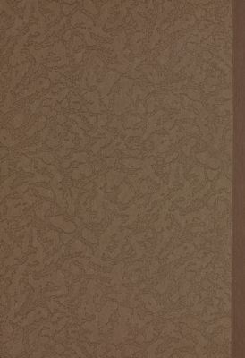ديوان لقيط بن الإيادي : — غلاف