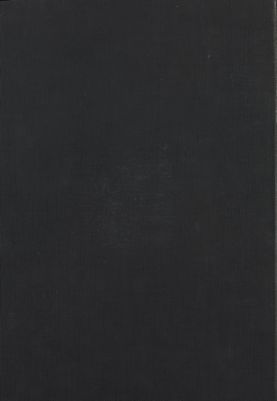 كتاب إيضاح المكنون في الذيل على كشف الظنون عن أسامي الكتب والفنون. v.2 — غلاف