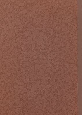 رجال بلا قيادة : — غلاف