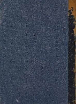 كتاب بغية الوعاه في طبقات اللغويين والنحاه — غلاف
