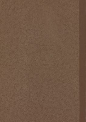 اقتصاديات التمور العراقية — غلاف