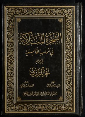 الشجرة المباركة في أنساب الطالبية — غلاف