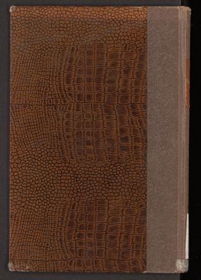 كتاب خلاصة الذهب المسبوك : — غلاف