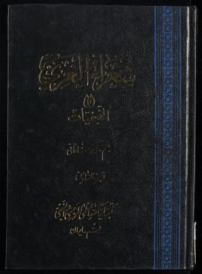 شعراء الغري، أو، النجفيات juz.6 — غلاف