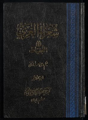 شعراء الغري، أو، النجفيات juz.10 — غلاف