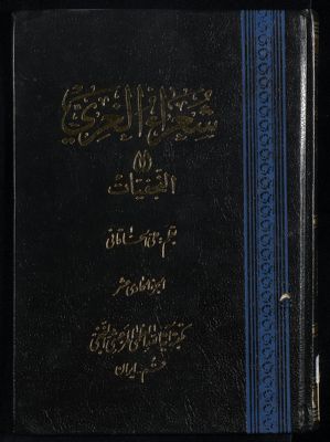 شعراء الغري، أو، النجفيات juz.11 — غلاف