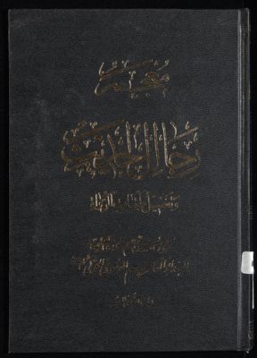 معجم رجال الحديث وتفصيل طبقات الرواة /‎‎‎ juz 12 — غلاف