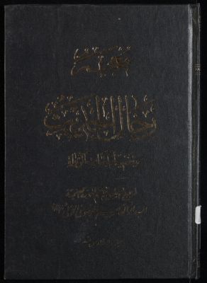 معجم رجال الحديث وتفصيل طبقات الرواة /‎‎‎ juz 16 — غلاف