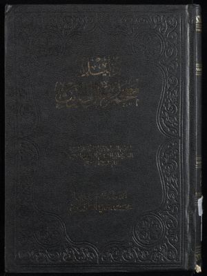 معجم رجال الحديث وتفصيل طبقات الرواة /‎‎‎ juz 24 — غلاف