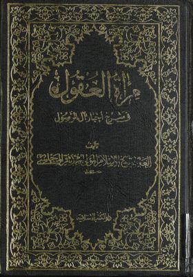 مرآة العقول في شرح اخبار آل الرسول :‎ juz 13 — غلاف
