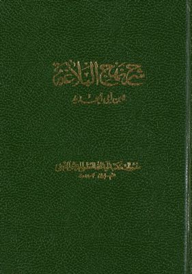 شرح نهج البلاغة /‎‎ juz 17-18 — غلاف