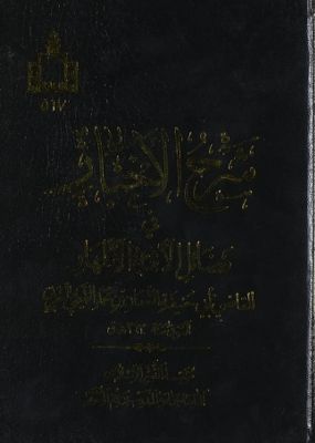 شرح الأخبار في فضائل الأئمة الأطهار /‎ juz 2 — غلاف
