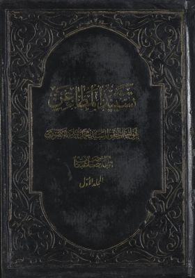 كتاب تشييد المطاعن وكشف الضغائن mujallad 1 — غلاف