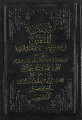 روضة المتقين في شرح من لا يحضره الفقيه Vol. 11 — غلاف